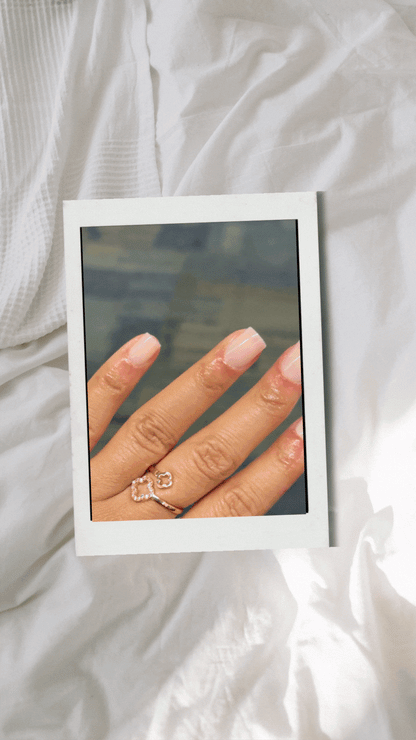 Shaded in Shanell MYSTERY BUNDLE: The Perfect Length - Square | CHIP RESISTANT | 72, 96, OR 120 NAILS PRESS-ON SETS | 3 Pack, 4 Pack, OR 5 Pack MYSTERY BUNDLE Deal